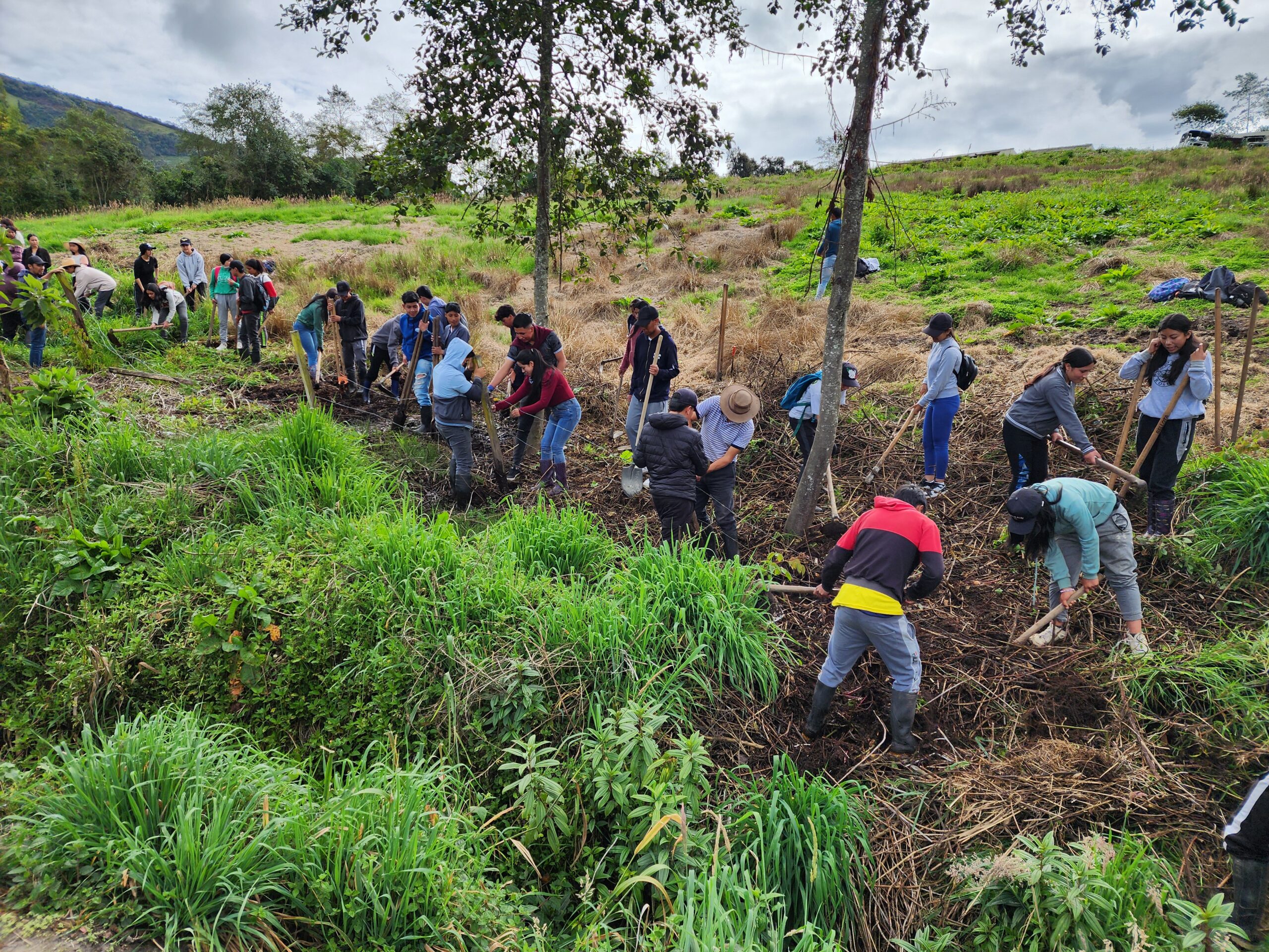 Restauración Ecológica con Plantas Nativas: Compromiso de la IE Técnica Promoción Social